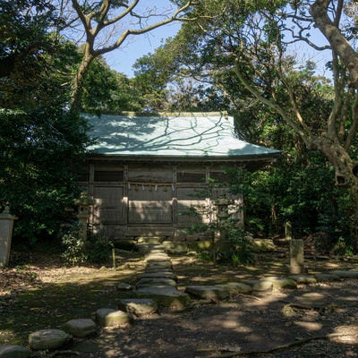 木漏れ日が降る大湊神社境内に建つ拝殿の写真