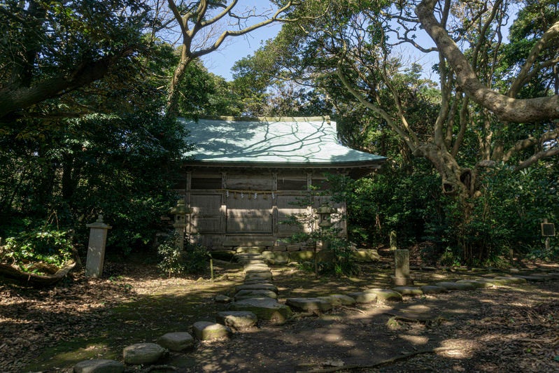木漏れ日が降る大湊神社境内に建つ拝殿の写真