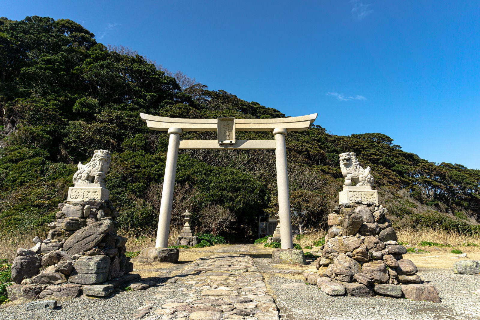 「大湊神社の鳥居と狛犬」の写真