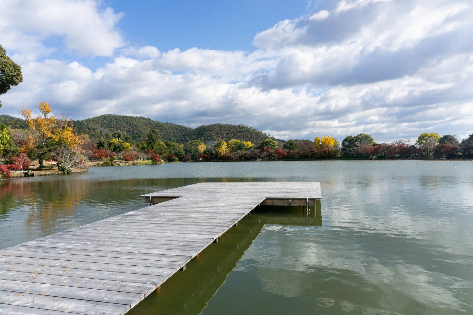 「大覚寺お堂エリア側から大沢池の面に伸びる池舞台」の写真