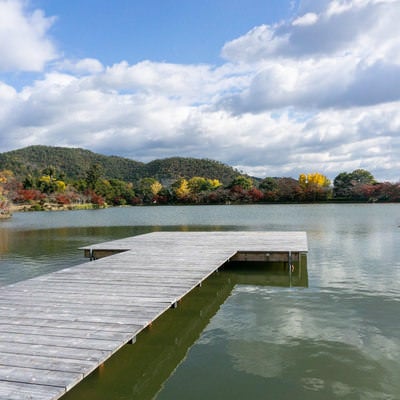 大覚寺お堂エリア側から大沢池の面に伸びる池舞台の写真