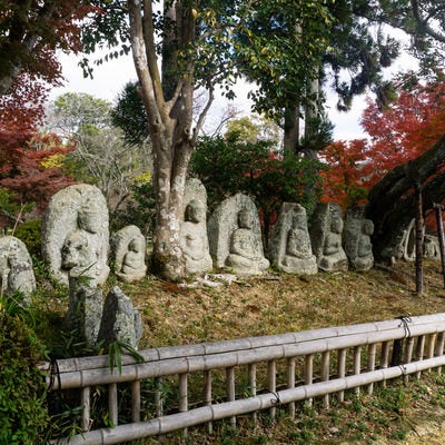 古いものでは平安時代後期の作とも伝えられる大沢池北岸にひっそり佇む20基ほどの石仏の写真