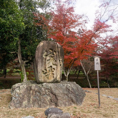 大沢池の天神島に建てられている嵯峨碑の写真