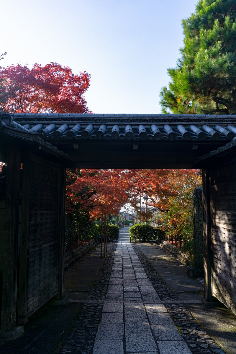 「龍安寺の総門の反対側から見る紅葉」の写真