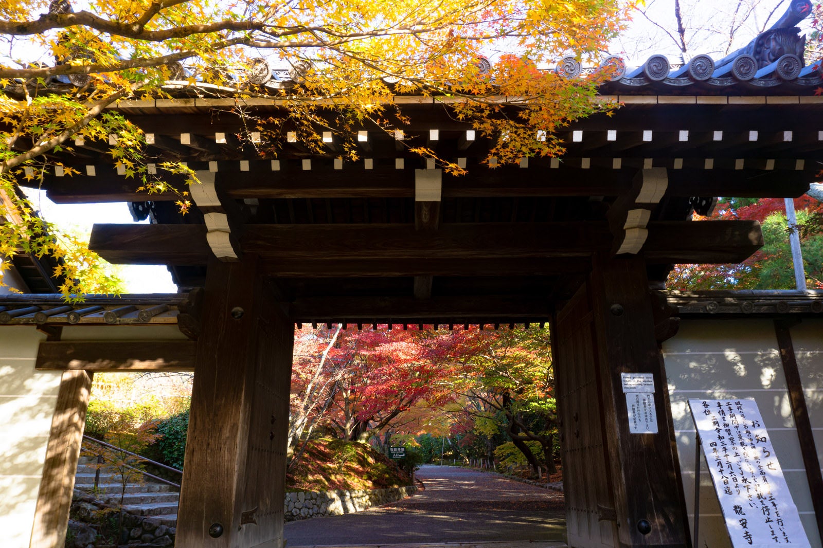 「秋の色どりを見せる龍安寺山門」の写真