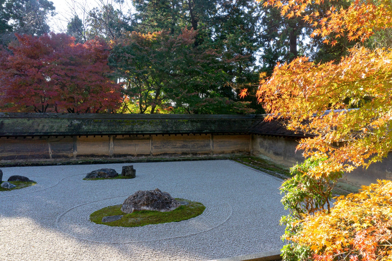 「日に輝く紅葉と石庭」の写真