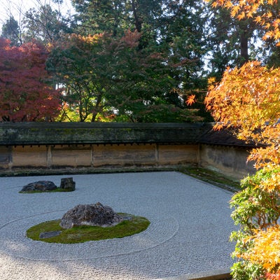 日に輝く紅葉と石庭の写真