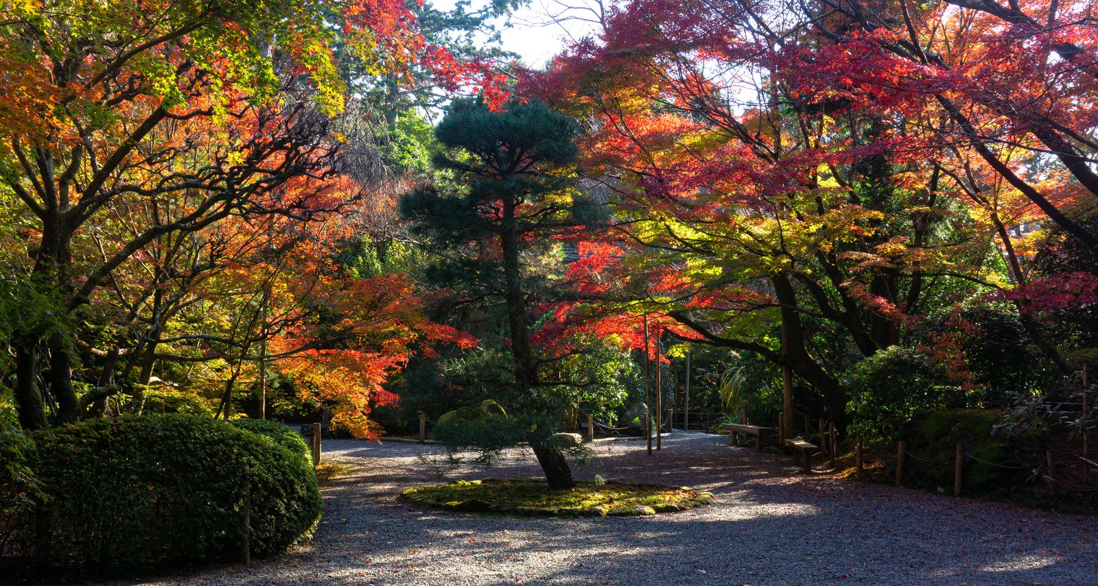 「秋の光が差し込む手入れされた美しい庭園」の写真