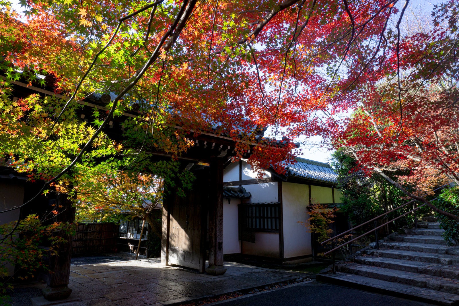 「紅葉に彩られる龍安寺山門と鏡容池出口の石段」の写真
