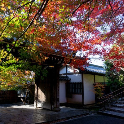 紅葉に彩られる龍安寺山門と鏡容池出口の石段の写真