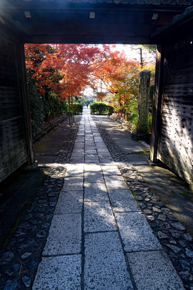 「龍安寺総門の外まで続く石畳と脇に立つ紅葉」の写真