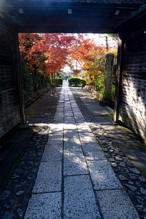 龍安寺総門の外まで続く石畳と脇に立つ紅葉の写真