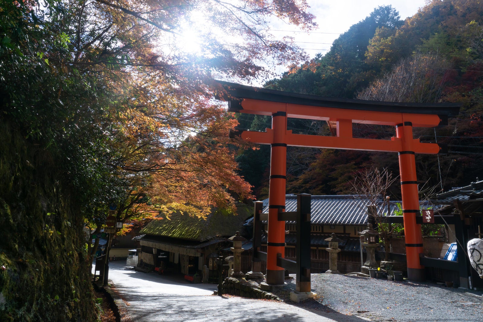 「愛宕神社一の鳥居とそれを彩る日の光に透ける紅葉」の写真