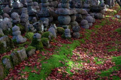 落ち葉か散り積もった苔の絨毯に立ち並ぶ多くの五輪塔の写真