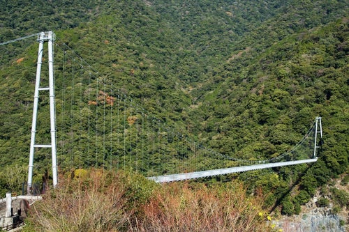 照葉大吊橋（宮崎県東諸県郡綾町）の写真