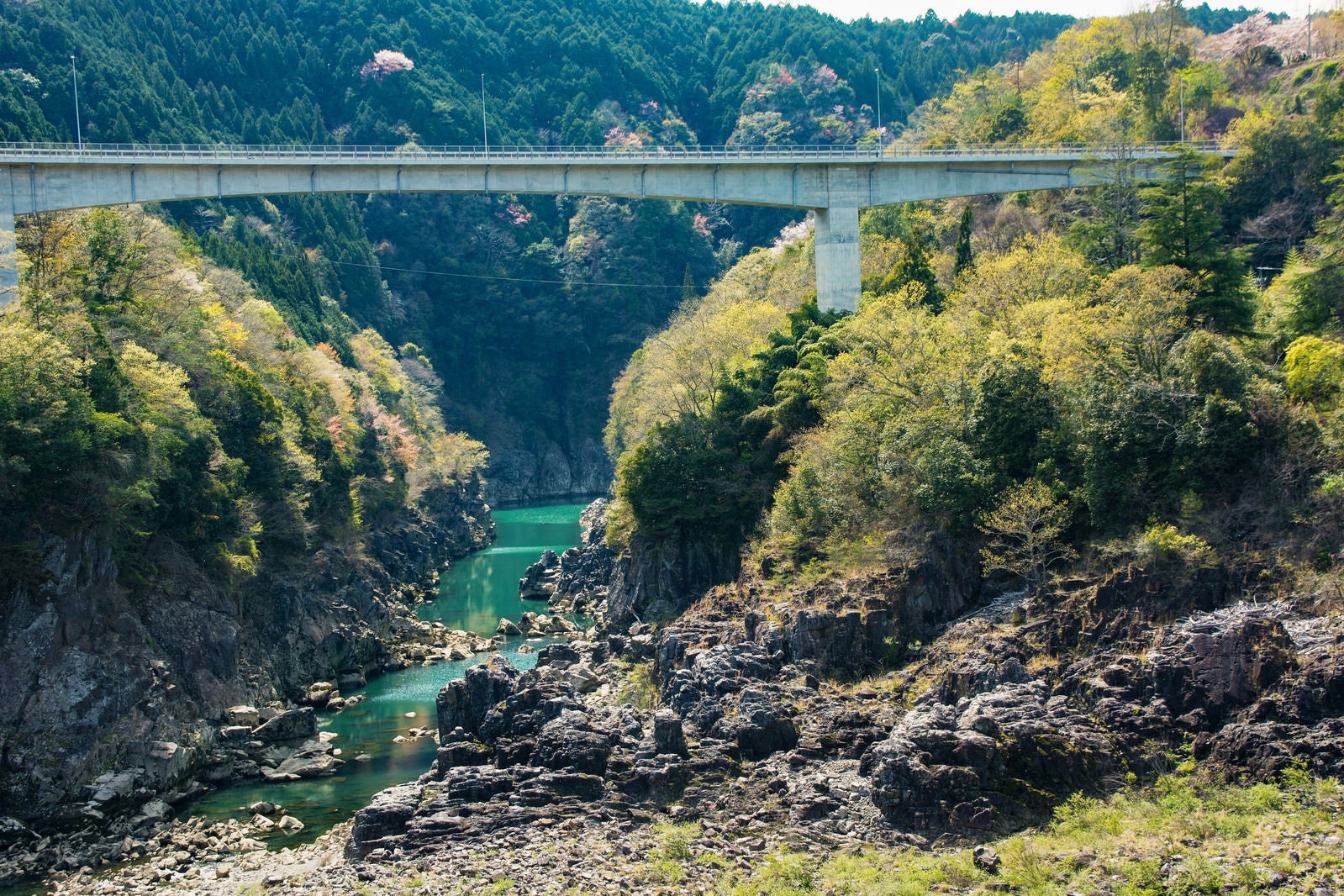 「ゴツゴツした岩の景観が広がる新小和沢橋下の眺め（岐阜県）」の写真