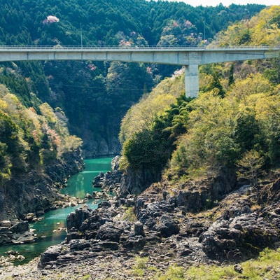 ゴツゴツした岩の景観が広がる新小和沢橋下の眺め（岐阜県）の写真