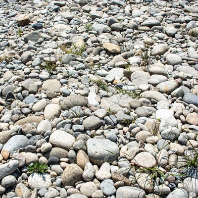 丸いコロコロした石が並ぶ歩きにくい河原の写真