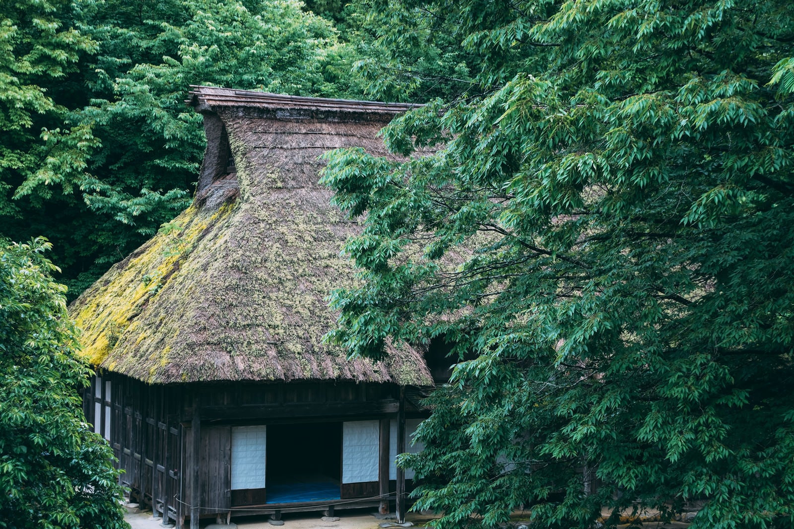 「公園の森の中にある茅葺屋根の家」の写真