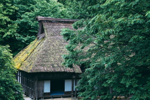 公園の森の中にある茅葺屋根の家の写真