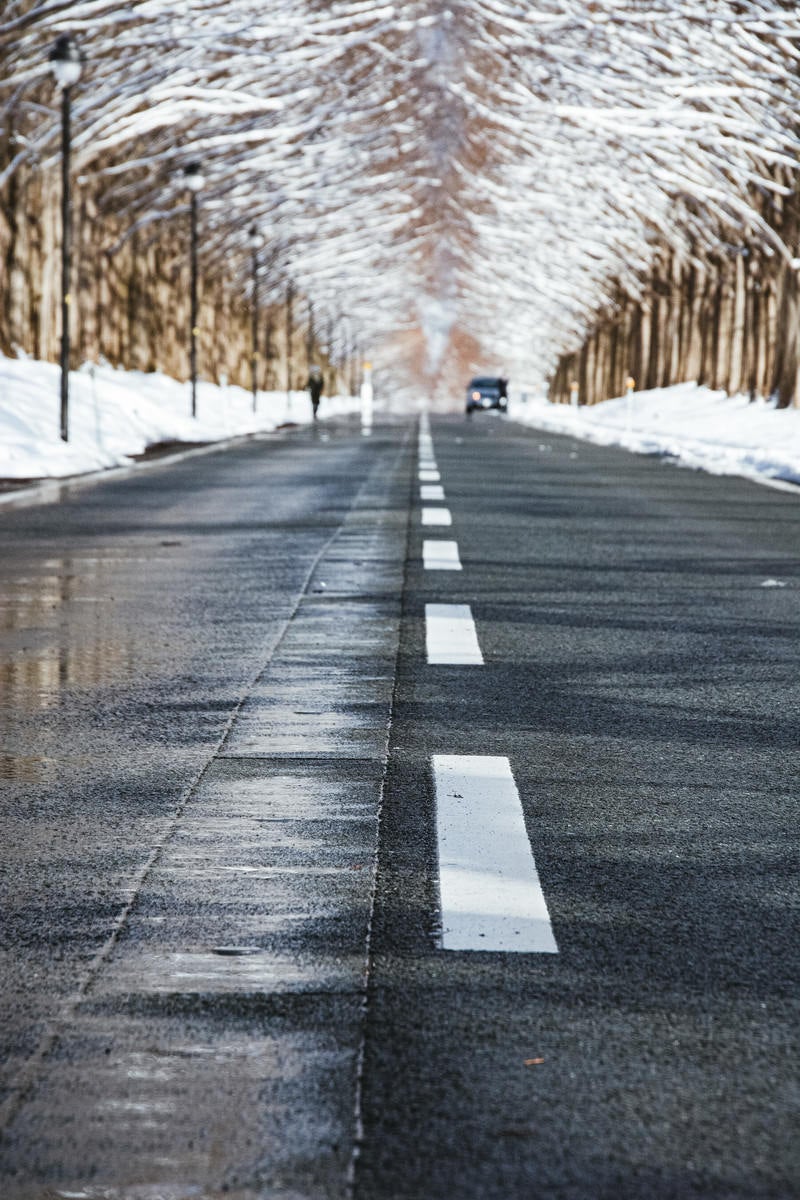 「車道に埋め込まれた消雪パイプ とセンターライン（マキノ高原）」の写真
