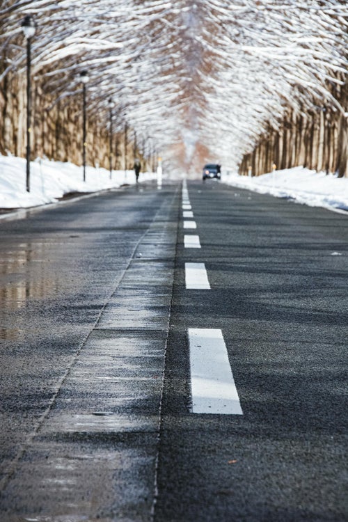 車道に埋め込まれた消雪パイプ とセンターライン（マキノ高原）の写真