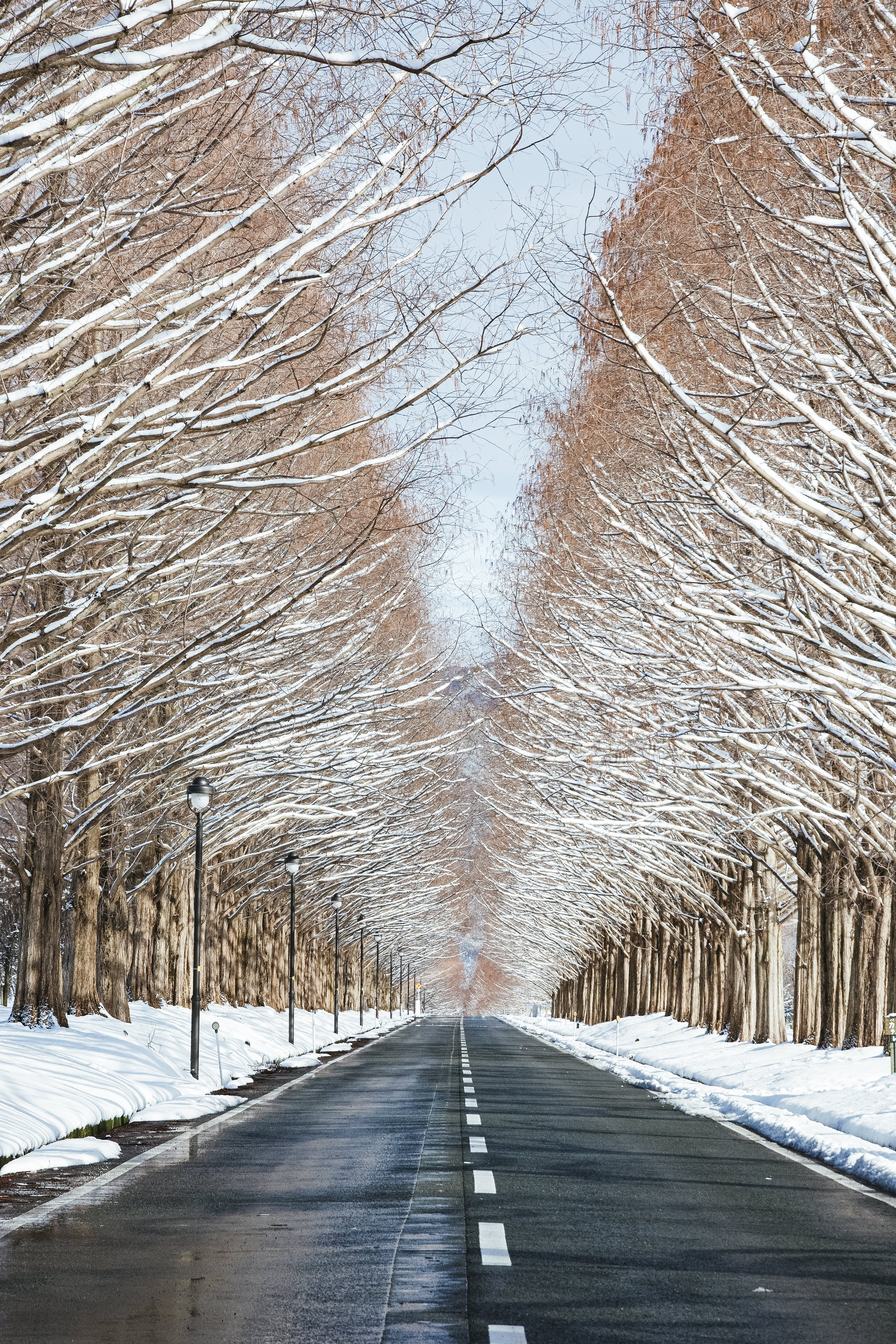 zubotty222ADSC_4480.jpg?&