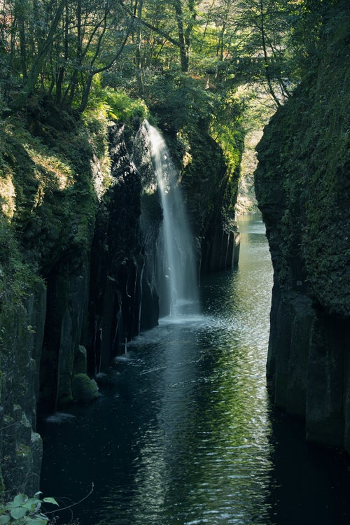滝見台から見上げた真名井の滝（宮崎県高千穂町）の写真