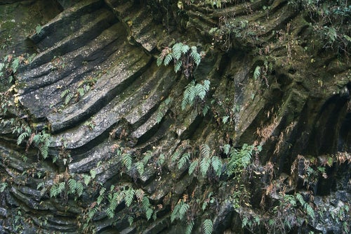 柱状節理の岩壁（宮崎県・高千穂峡）の写真