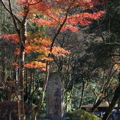 秋の紅葉と高千穂峡の石碑（宮崎県高千穂町）の写真