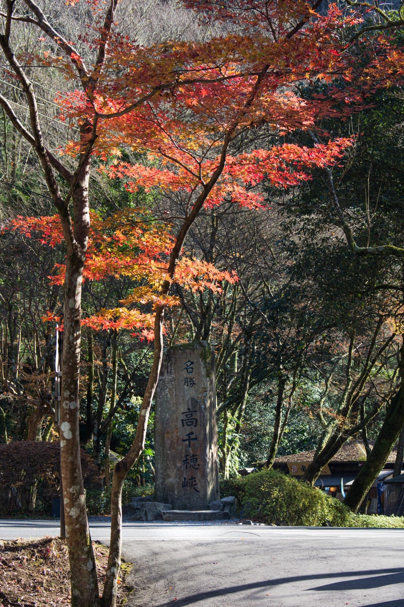 「秋の紅葉と高千穂峡の石碑（宮崎県高千穂町）」の写真