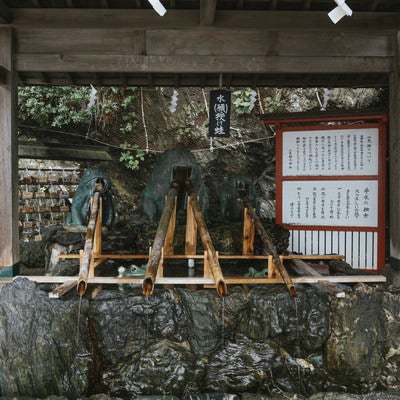 二見興玉神社のカエルの御手水場の写真