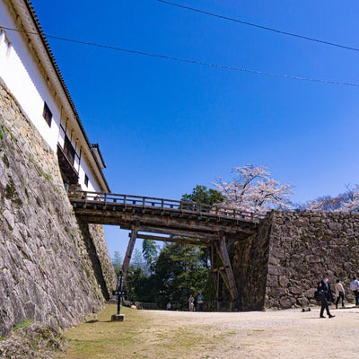 大手門と表門からの両坂道を登った先に現れる天秤櫓と廊下橋の写真