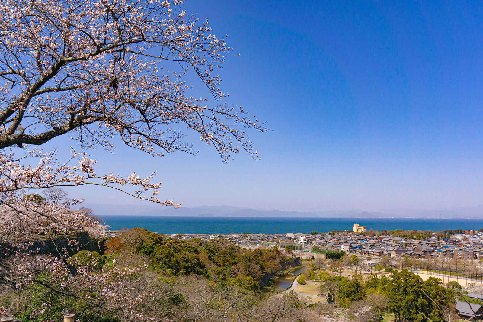 「春の彦根城本丸から望む城下町と琵琶湖」の写真