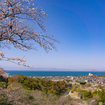 春の彦根城本丸から望む城下町と琵琶湖の写真
