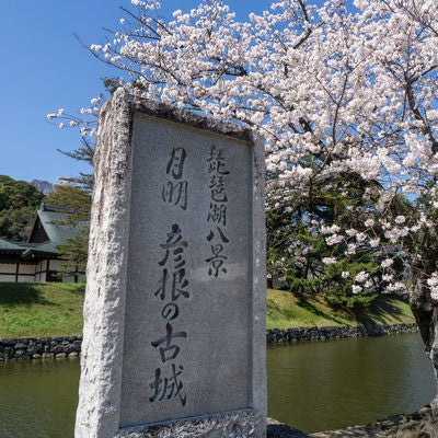 お堀のほとりに建つ琵琶湖八景の石碑の写真