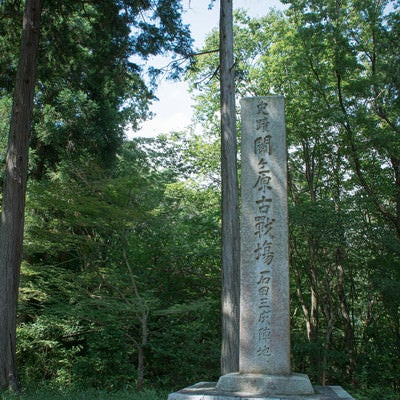 木漏れ日を浴びる石田三成陣地の石碑（岐阜県関ケ原町笹尾山）の写真