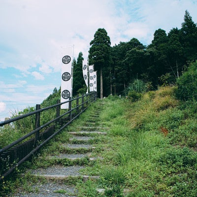 徳川家康最初陣地跡へと向かう階段の写真