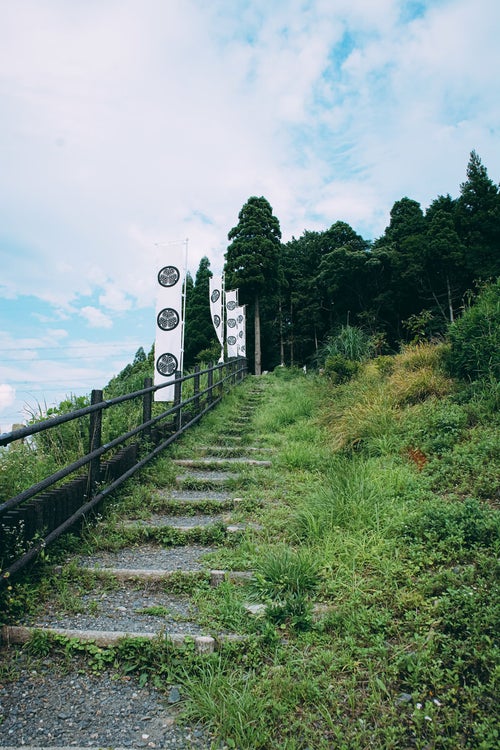 徳川家康最初陣地跡へと向かう階段の写真
