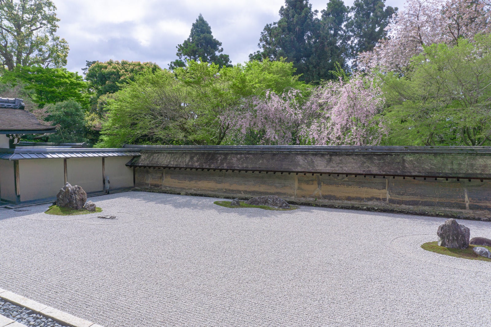 「石庭を淡い色で彩る新緑の紅葉と枝垂桜」の写真
