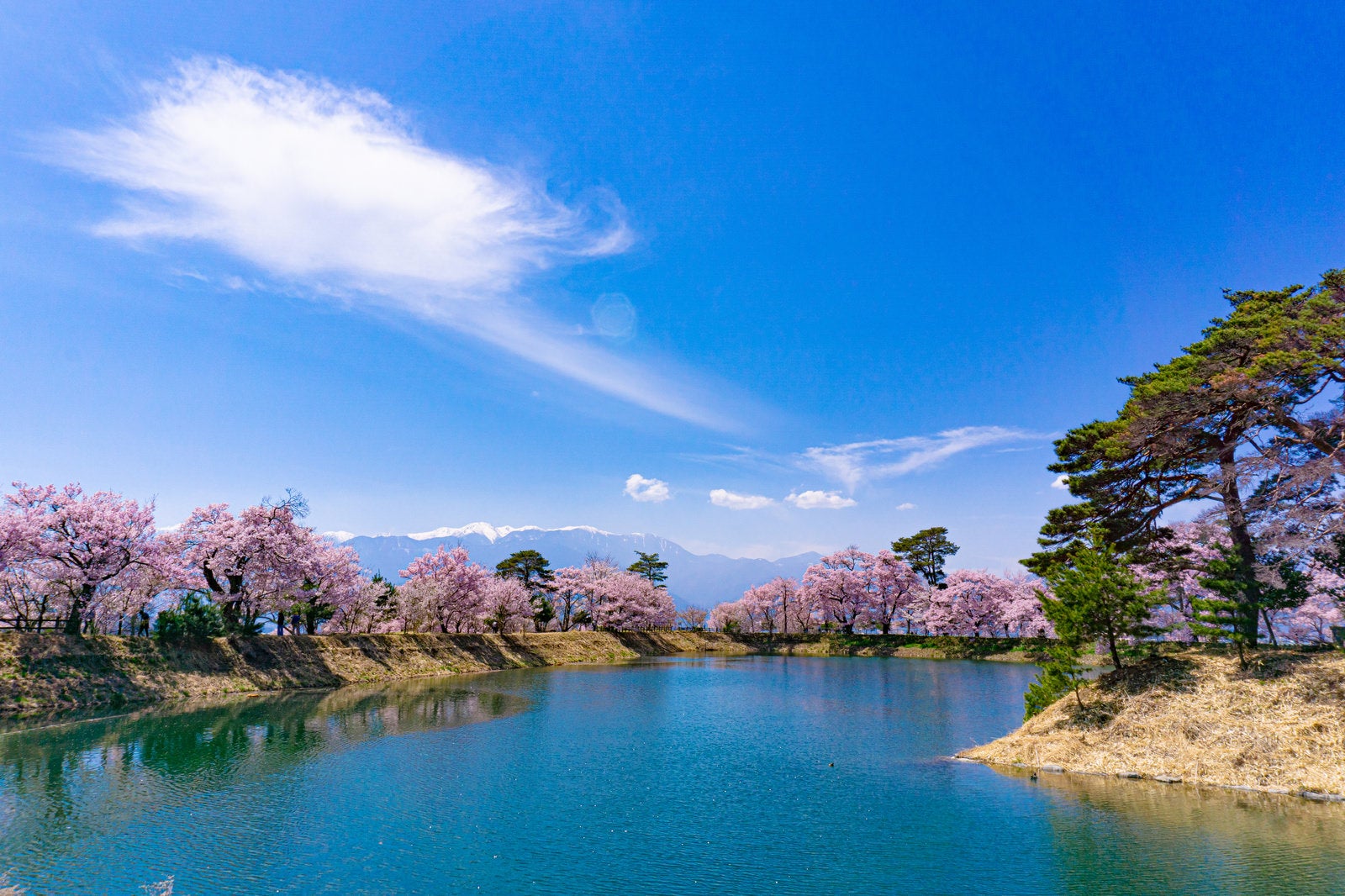 「六道の堤の春景色」の写真