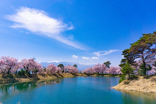 六道の堤の春景色の写真