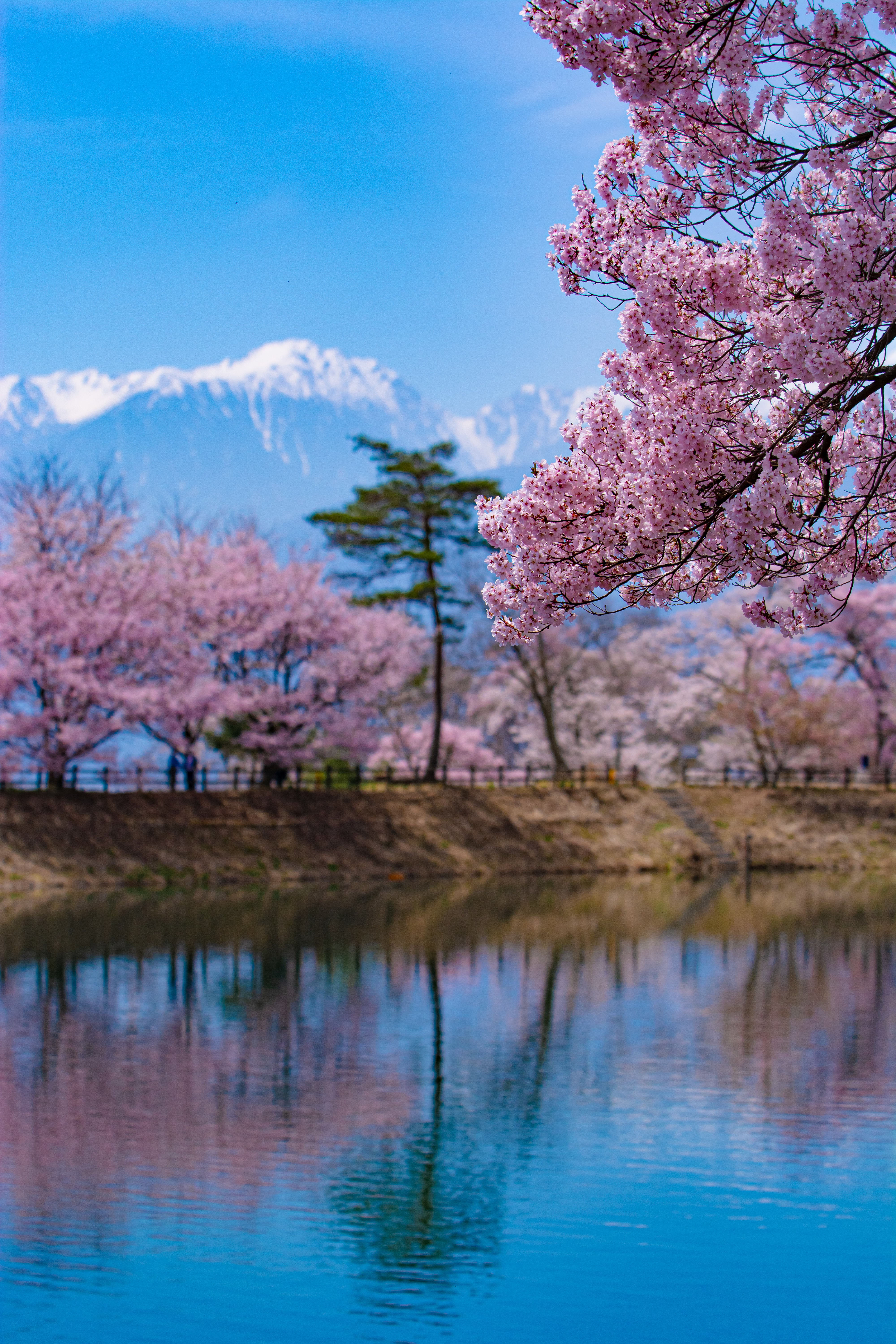 zubotty412DSC_0105-p.jpg?&