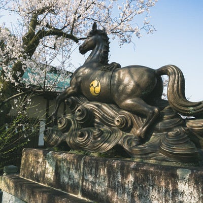 桜の時期の針綱神社御神馬像の写真