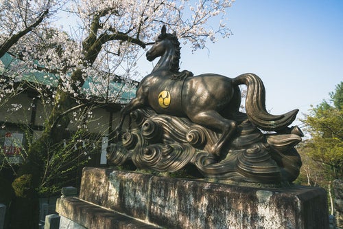 桜の時期の針綱神社御神馬像の写真