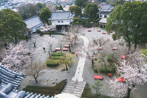 日本最古の天守閣回り縁から見下ろした本丸跡の広場の写真