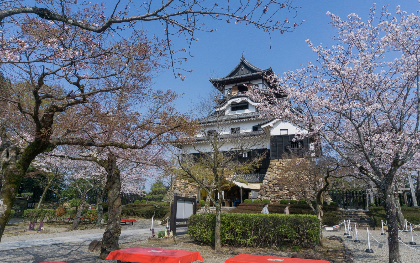「犬山城城内の桜の下に並ぶ赤い床几台」の写真