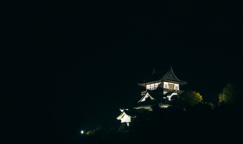 暗闇と森に囲まれた中ライトアップされて輝く犬山城天守閣の写真