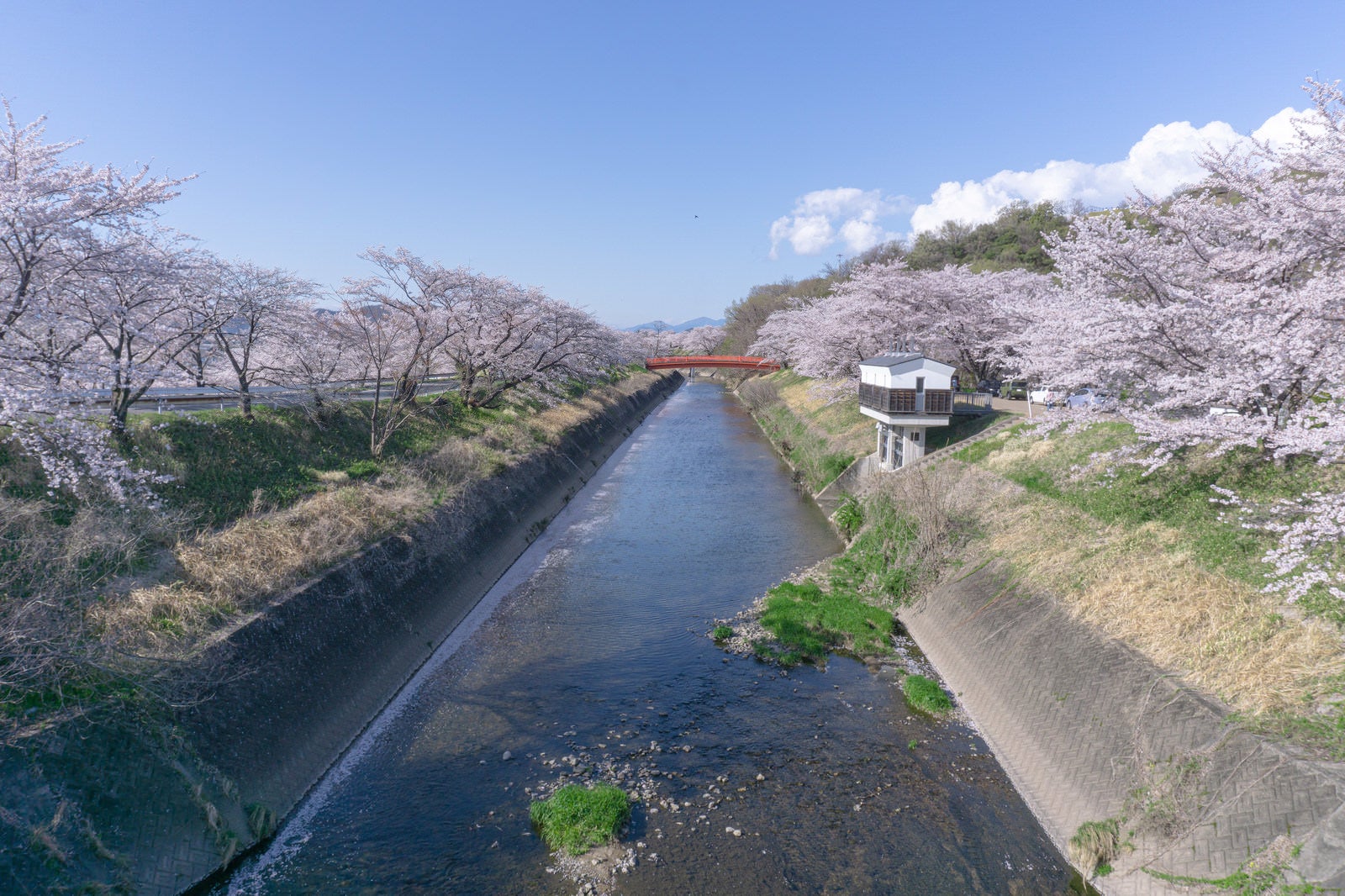「新境川の春（岐阜県　各務原市）」の写真