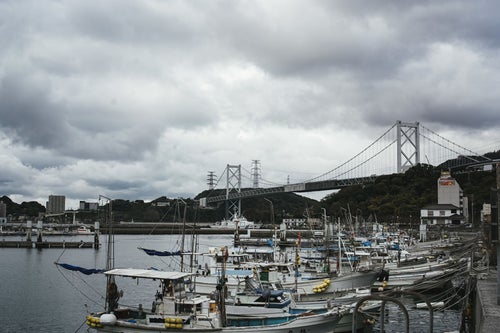 並んだ漁船と関門橋の写真